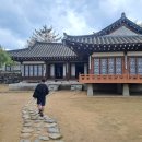합천가축병원 | 아이랑 오픈세트장 합천영상테마파크를 여행하다