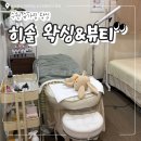 [수원/팔달구] 수원 왁싱 추천 '히솔 왁싱&amp;뷰티' 슈가링으로 깔끔해진 헤어라인 후기