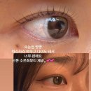산본로323번길 16-26(중앙분수대 옆 벤치) | 산본 속눈썹펌 잘하는곳 소르희 뷰티 블랙틴팅펌+케라틴 후기