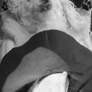 하하 동물병원 이미지