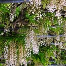 수정초등학교 이미지