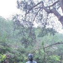 장태산의아침 | 대전 장태산자연휴양림 숲속수련장 제비실