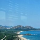 통일애견 이미지