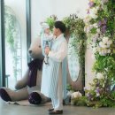 돌이가든 이미지