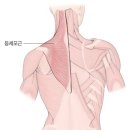광주피부관리에스코테라피