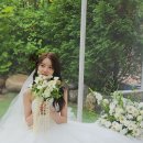 달리아핑