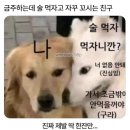 2호선 해운대역 3번출구 | 3월 1주차 모음 ( ͒๑ ⃙⃘ ´ཅ`๑ ⃙⃘ ). ͒◞ෆ