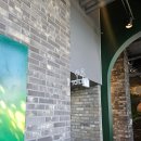 도심 - 공간 | 청주 대형카페 &#34;트리브링&#34; 방문 후기 | 도심 속 식물원 같은 힐링 공간