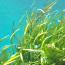 박진희약국 이미지