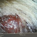 굿데이동물병원 이미지