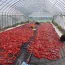 청운농장 이미지