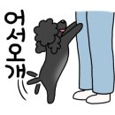 표나개 반려애견 미용실 이미지