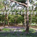 소정태양광발전소 이미지