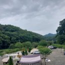 수동길170캠핑 이미지