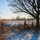 피넛호텔 | [광화문/호텔] 피넛호텔 가성비와 감성 둘 다 잡은 도심 호텔