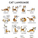 방주농장 이미지