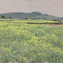 제주 현대미술관 이미지