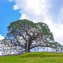 태백산로 이미지