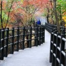 수안산약수터 이미지