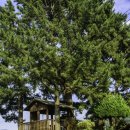 해찬솔농장 이미지