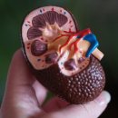 시민요양병원 이미지