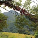 뽕나무펜션 이미지