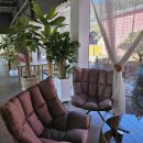 카페호야# 이미지