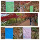 찾아가는 아라가야 LH문해교실 이미지