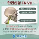 다미한의원 이미지