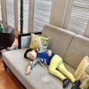 더메종호텔 이미지