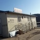 토종떡국