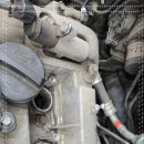 스피드메이트 제주노형점 이미지