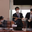 스프링의원 이미지