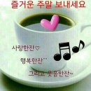 차 이미지