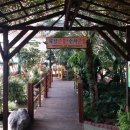 곤충생태관_3 이미지