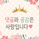 퍼플핀파트너스