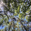 창진산장휴게소 이미지