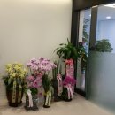 연세영피부과의원 이미지