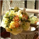 아파트 베란다의 미니가든 연출 이미지