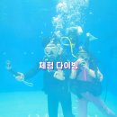 그랑블루 | 세부여행 세부다이빙 샵 뉴그랑블루 체험다이빙 성공 후기