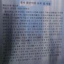 열녀 완산이씨 묘역 및 석물 | 21.11.7 완산이씨묘.성경온묘-이종생묘-교산동건물지-광주이씨시조비-구산성지