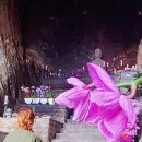 국립안동대학교 이미지