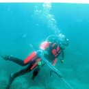 수중산책 이미지