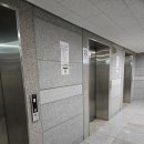 2439 | [마곡역] 엄청 깨끗해서 만족도 높은 마곡왁싱샵 빌드왁싱ㅣ디자인 눈썹 왁싱 솔직 후기