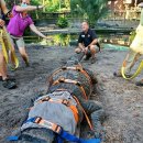 도그스타동물병원 이미지