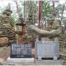 곡성-239 Daum카페