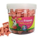 덴탈버디 이미지