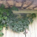 시골정취 이미지