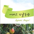 안골농원 이미지