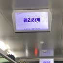 앙큼꼬마김밥